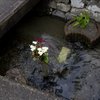 近江五箇荘にて