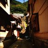 須賀利にて　（トイカメラシリーズ）