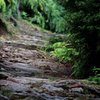 熊野古道残照