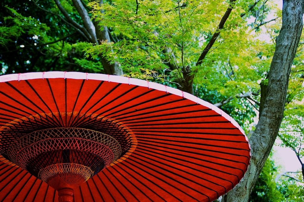 深紅と緑
