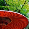 深紅と緑