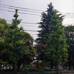 恐竜のいる街 i