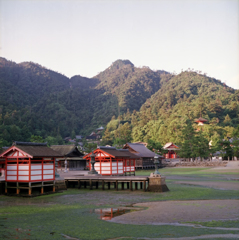 6×6聖地探訪　宮島#3
