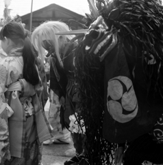 横中馬 #3