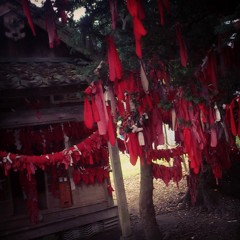 遠野行 #5
