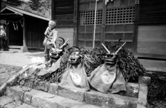 横中馬 #10