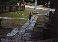 東京645 根津神社