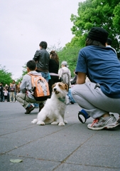 東京24区　上野公園