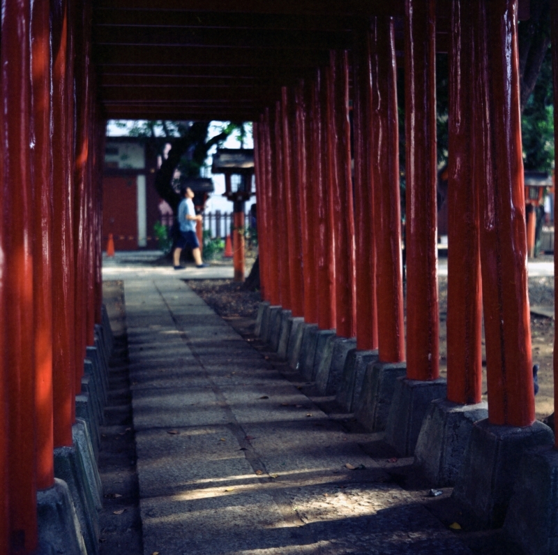 東京二眼旅行　花園神社