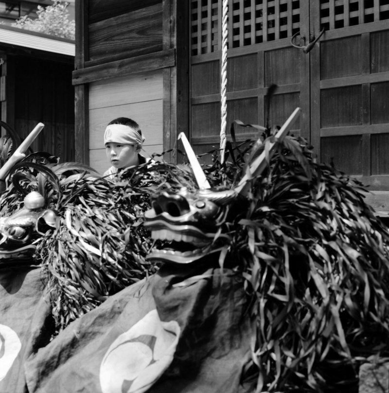横中馬 #4