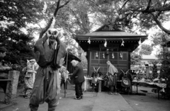 横中馬 #12