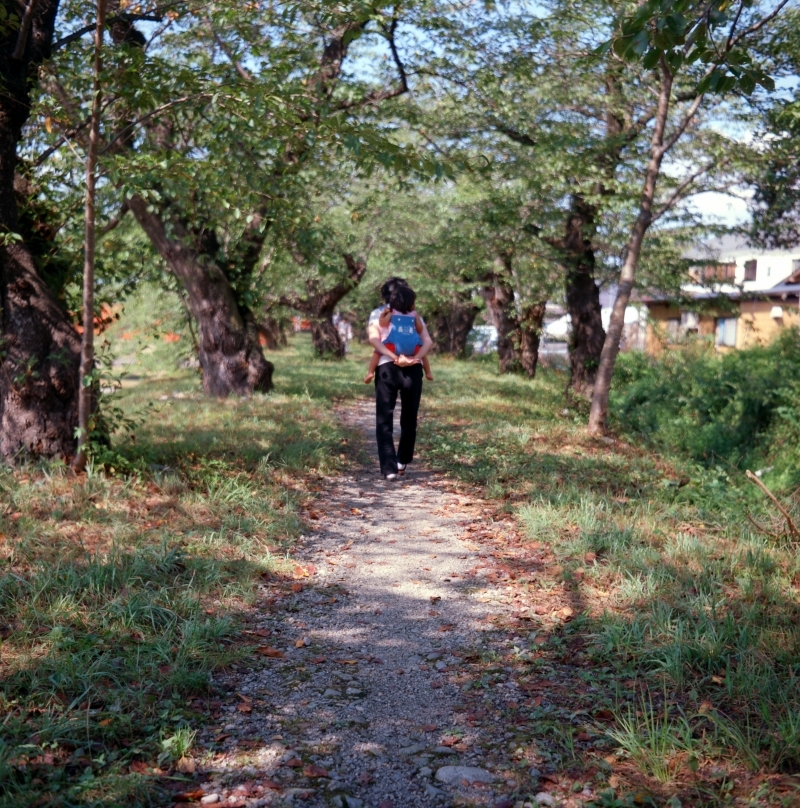 みちのく二眼旅行　角館 vii