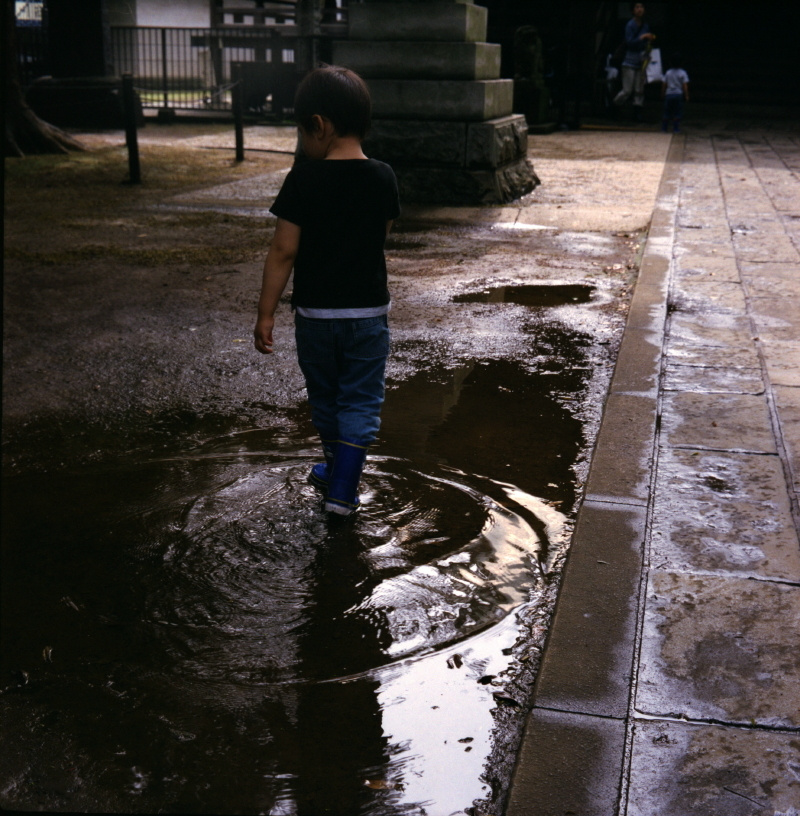 東京のこども　雨上がりと少年と ii