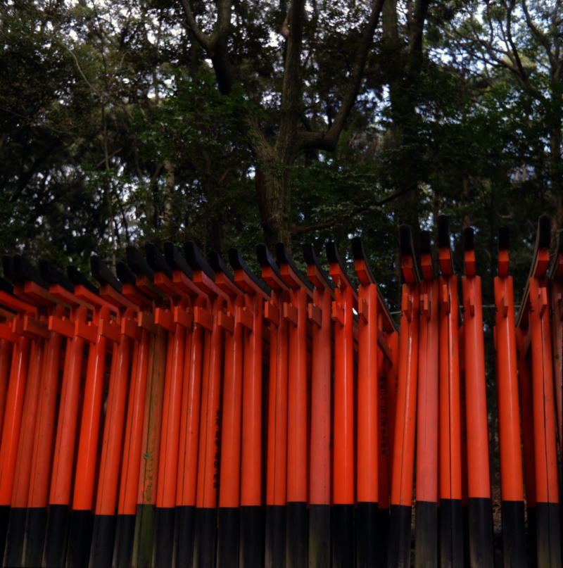 鳥居 iii