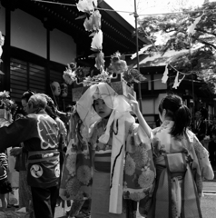 横中馬 #1