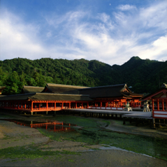 6×6聖地探訪　宮島#1
