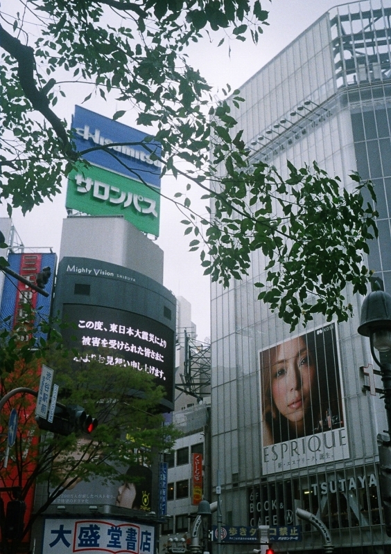 東京24区　哀悼