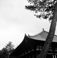 天平フレクサレット　唐招提寺