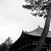 天平フレクサレット　唐招提寺