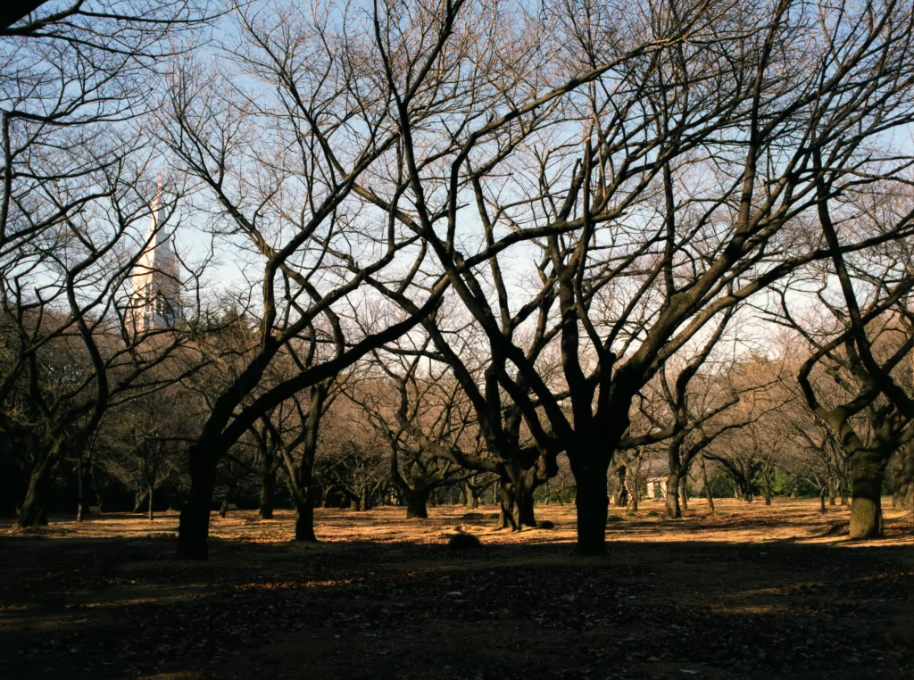 東京645　春待つ園