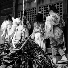 横中馬 #5