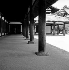 飛鳥フレクサレット　法隆寺回廊