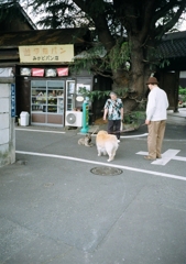 東京24区　みかどパン