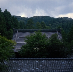 フレクサレットとの旅　永平寺