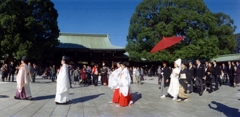 東京パノラマ紀行　好日