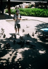 京都ハーフサイズ　鳩と少年（六角堂）