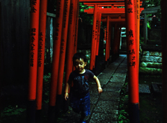 東京645 根津神社