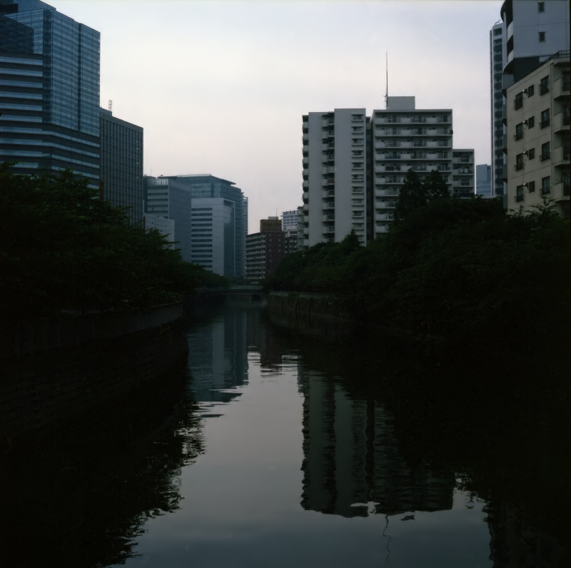 ブロニカと街　目黒川夕景