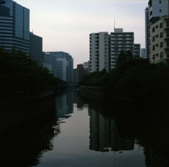 ブロニカと街　目黒川夕景