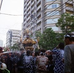 ブロニカと夏　佃の祭り ii