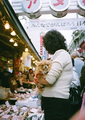 東京24区　ぷるぷる震える犬