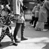 東京祭譚　浅草 #15