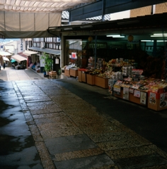 フレクサレットとの旅　こんぴら参り