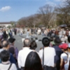 東京パノラマ紀行　上野公園