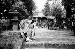 横中馬 #11