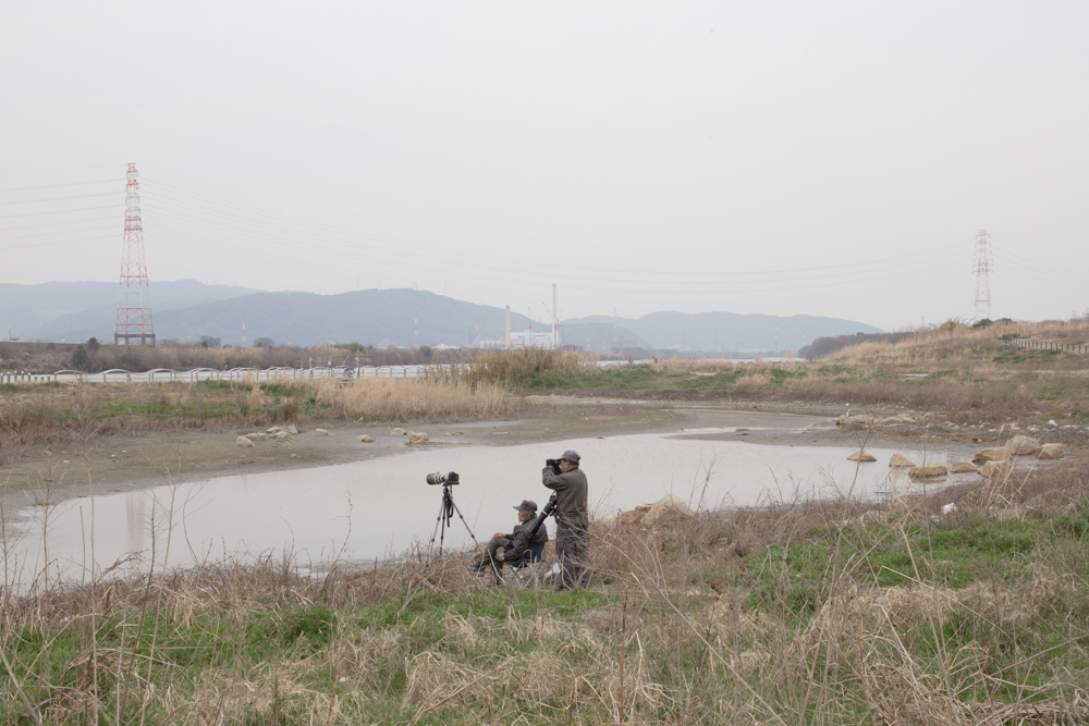 企画展に参加します