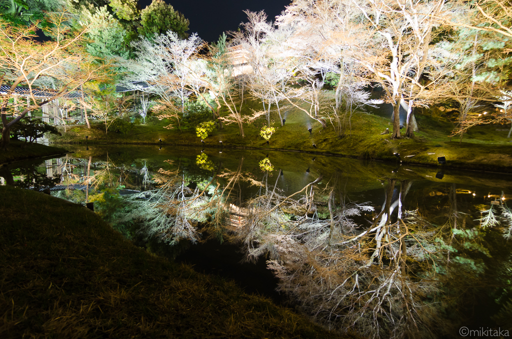 高台寺「臥龍池」