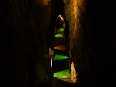 コウモリにご用心