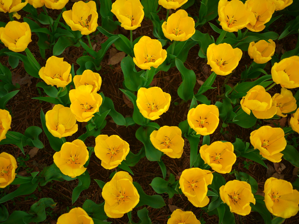 ひたち海浜公園