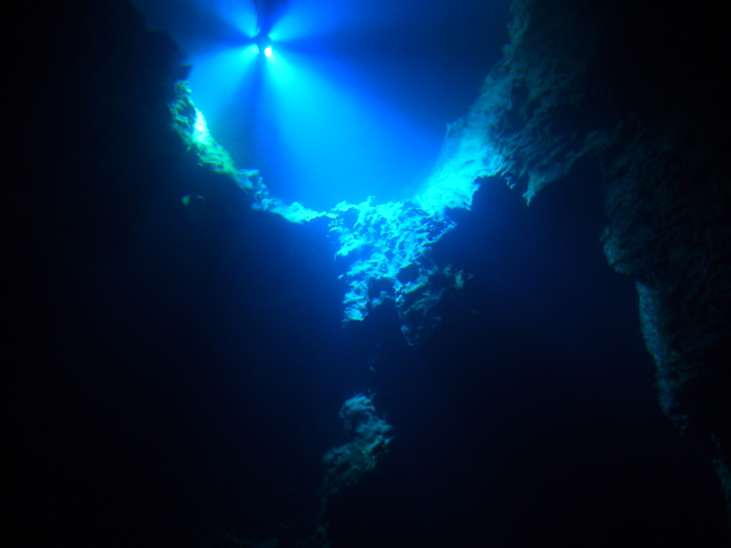 リトルマーメイド