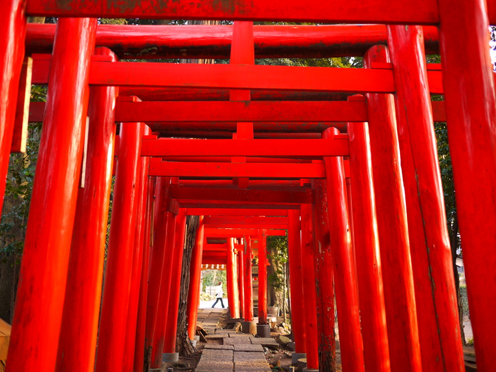 入間で京都気分♪