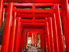 入間で京都気分♪