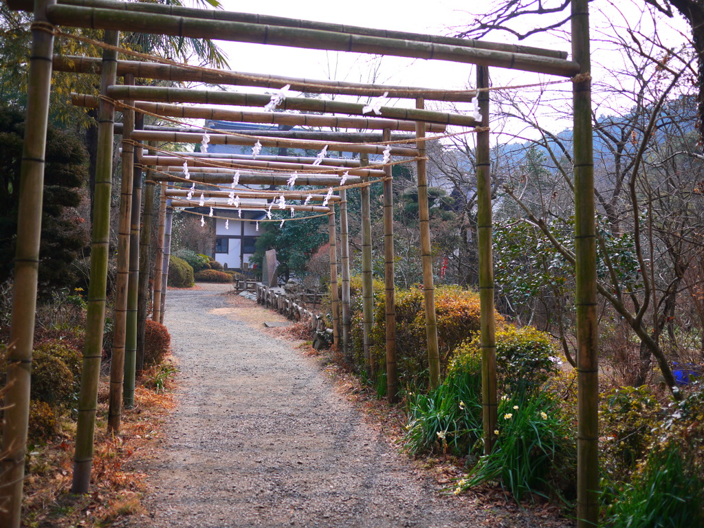竹鳥居