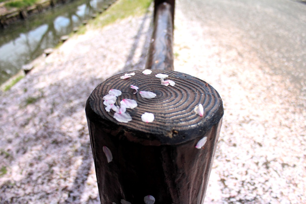 終わりは始まり