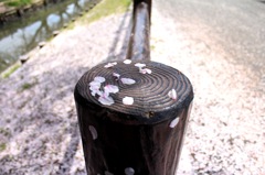 終わりは始まり