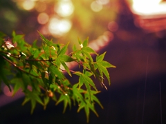 夕立